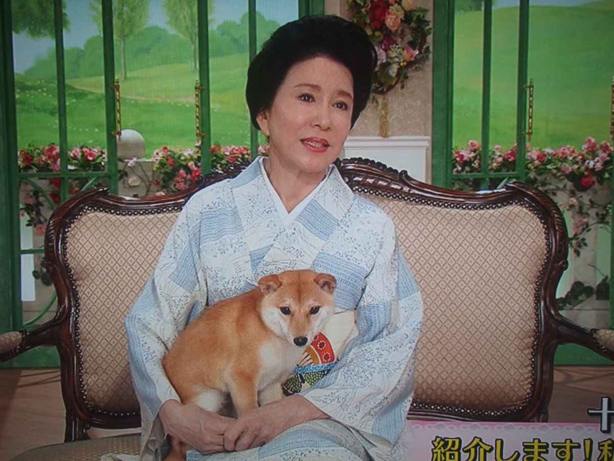 十朱幸代 西城秀樹の恋バナ ママレンジが懐かしい